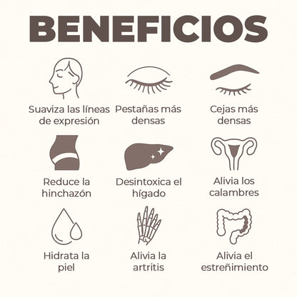 Castor Oil | Aceite de Ricino